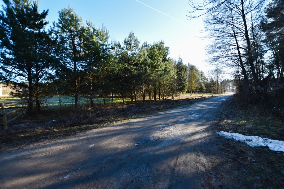 Działki w sąsiedztwie lasu - Wysoka Głogowska - zdjęcie 2