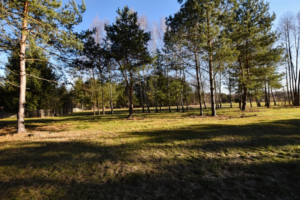 Działki w otoczeniu lasu  - Wysoka Głogowska - zdjęcie 1